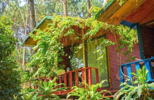Soc Son Resort | Relax at Pine Hill Villas & Camping with Oceanfront Views