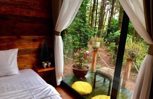Soc Son Resort | Relax at Pine Hill Villas & Camping with Oceanfront Views