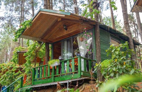 Soc Son Resort | Relax at Pine Hill Villas & Camping with Oceanfront Views
