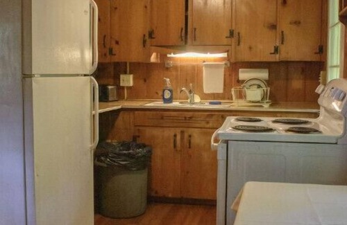 Bainbridge Cabin | Family-Friendly Retreat at Pine Lake Trout Club Cabin #7