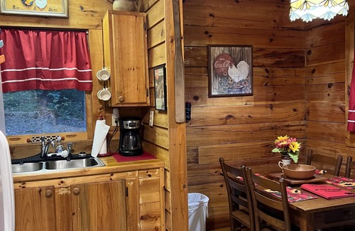 Candler Cabin | Secluded Pine Ridge Chalet: Guest Rated 9.8 & Pet Friendly