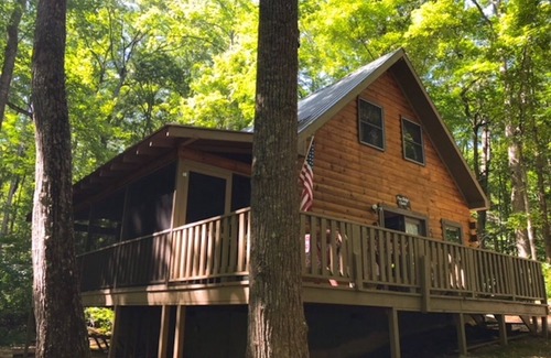 Candler Cabin | Secluded Pine Ridge Chalet: Guest Rated 9.8 & Pet Friendly