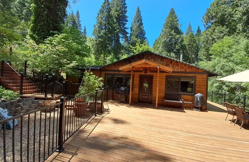 Apple Hill House | Relaxing Pine View Paradise near Wineries and Orchards