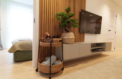 Nida Apartment | Spacious Pinecone Terrace: 2-Bedroom Apartment in Nida
