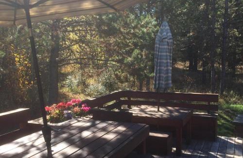 McCall House | Cozy Pinedale Cabin with Hot Tub & Pet-Friendly Amenities
