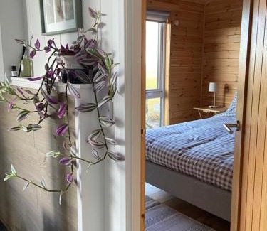 Hunspow House | Pinelodge, Dunnet Bay