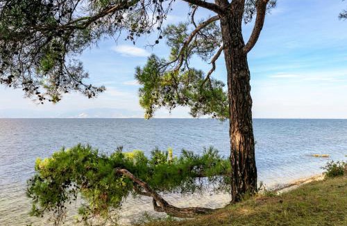 Skala Rachoniou House | Pet-Friendly PineReef Blue with Ocean Views & 9.7/10 Rating