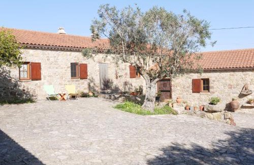 Serra da Pescaria Villa | Beachfront Oasis: Pines of Salgado Villa with Pool & Ocean View