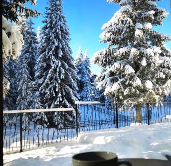 Kasidoli Apartment | Outstanding PineTree Jahorina: Family-Friendly Hot Tub Retreat
