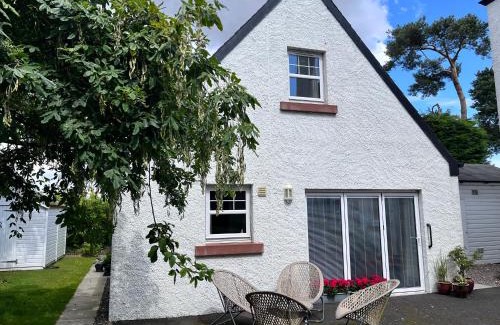 Leuchars House | Experience Pinewood Country House: Eco-Friendly Retreat