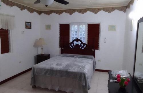 Boston Bay Apartment | Pink flamingo