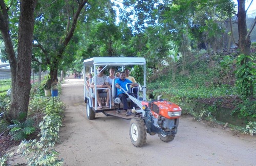 Pinnawala Bed & Breakfast | Exceptional Pinnawala Backpack Residencies with Pool Access