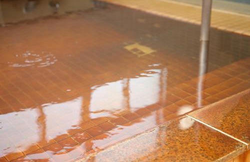 Nakatonbetsu Hotel | Pinneshiri Onsen Hotel Bogakuso - Budget-Friendly Retreat