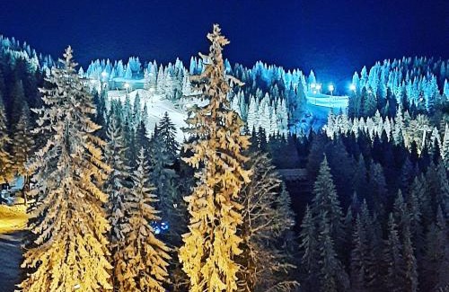Jahorina Apartment | Top-Rated Pino Apartman Jahorina with Hot Tub & Breakfast