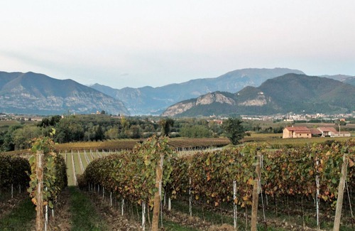 Torbiato di Adro Apartment | Pinot Blanc - Franciacorta Apartment