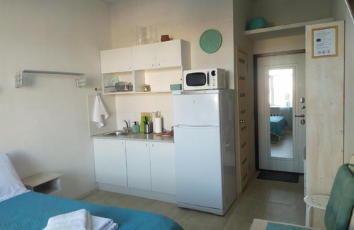 Vladimirskiy Apartment | Budget-Friendly Pion Hotel with Kitchen & Accessibility