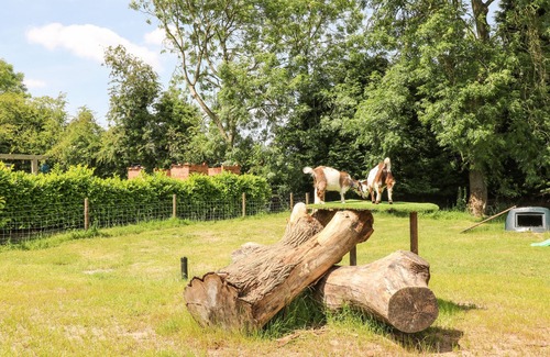 Fulford Cottage | Pipistrelle