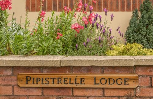 Plymtree House | Explore Pipistrelle Lodge: A Cozy 4-Star Retreat