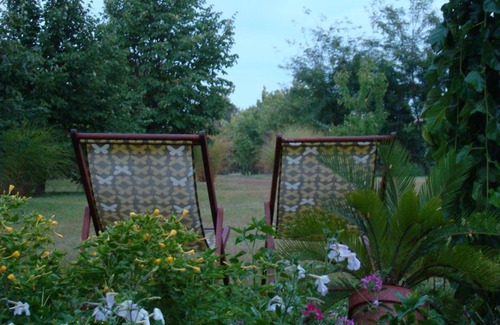 Szekkutas House | Discover Piroska Vendégház: Perfect for Families and Pets