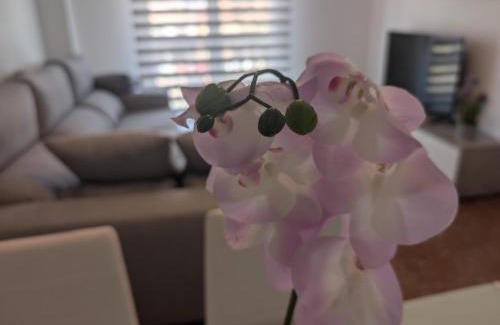 Armilla Apartment | Ideal Family Retreat at Piso Céntrico Armilla