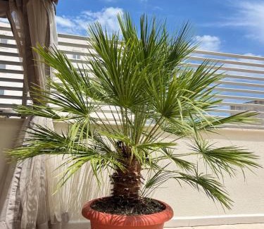 Alcanar Apartment | Cozy Terrace Retreat Just 5 Minutes from the Beach