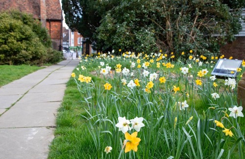 Tenterden Cottage | Pittlesden Cottage – Perfect Stay in Tenterden with Pets