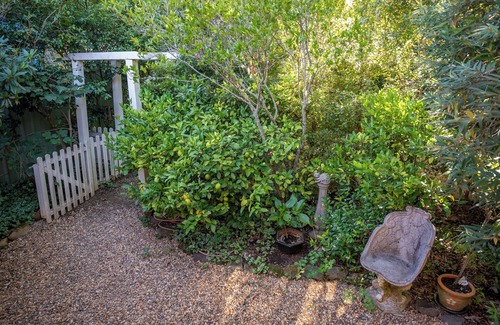 Leura Cottage | Cozy Pixie Cottage: 10-Minute Stroll to Leura's Charm