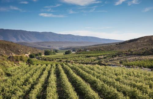 Barrydale House | Delightful Plaas Wegbreek: Pet Friendly & Family-Oriented Stay