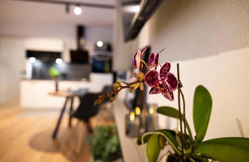 Faistenau Apartment | Oceanfront Retreat: place2be Exclusive Apartment Awaits