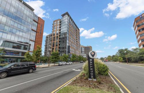 Bluemont Hotel | Discover Pet-Friendly Comfort at Placemakr Marymount Ballston