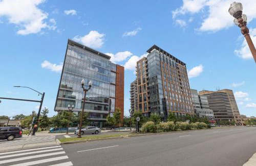 Bluemont Hotel | Discover Pet-Friendly Comfort at Placemakr Marymount Ballston