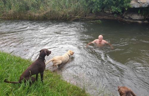 Cathkin Park House | Charming Plain Champagne Guest Farm: Pet-Friendly Retreat