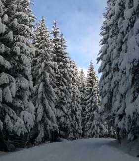 Kasidoli Ski Chalet | Pet-Friendly Retreat at Planinska kuća MAK - Rated 9.7
