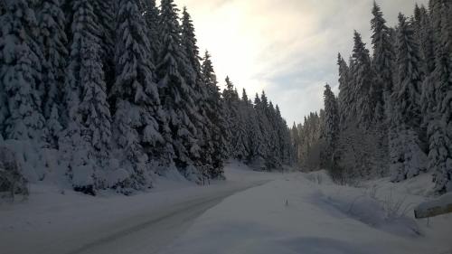 Kasidoli Ski Chalet | Pet-Friendly Retreat at Planinska kuća MAK - Rated 9.7