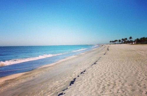 Captiva Resort | Guest Rated: 10/10 Plantation Beach Club with Pool Access