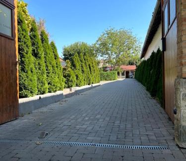 Csongrad Bed & Breakfast | Experience Unforgettable Stays at Platán Panzió - 10/10 Rated