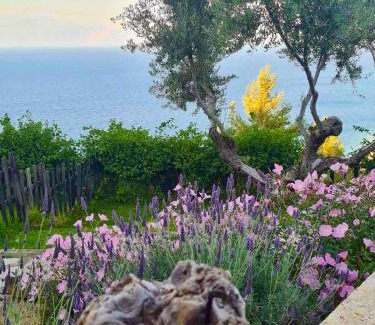 Paralia Porovitsis Villa | Discover Platanos Villa: Family-Friendly 4-Star Retreat