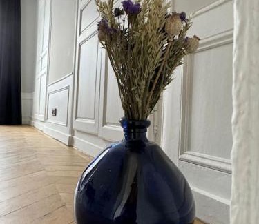 Clermont Ferrand City Centre Apartment | Beautiful Plateau Central Hotel - Rated 10/10 for Families