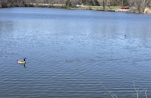 Carbondale RV Rental | Discover PLAY PORT MARINA: Family-Friendly Lakeside Escape