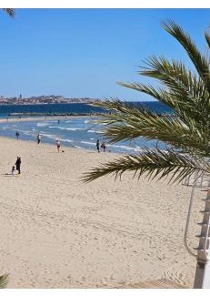 Raval Roig Apartment | Playa Alicante 2