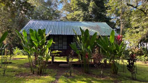 Drake Bay Cabin | Oceanfront Playa Ganadito Ecolodge - Rated 9/10 by Guests