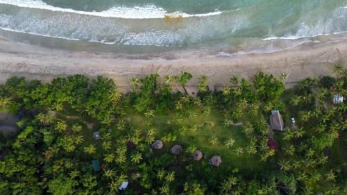 Puerto Princesa Bed & Breakfast | Serene Playa Paraiso Nagtabon Beach with Breakfast Included