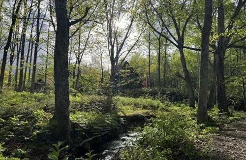 Shimizu Other | Discover Playhouse Conifer - Family & Pet Friendly Retreat
