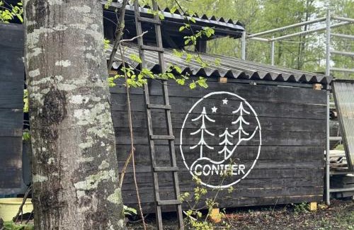 Shimizu Other | Discover Playhouse Conifer - Family & Pet Friendly Retreat