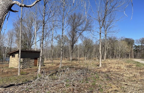 Carbondale RV Rental | Explore PLAYPORT South Camp: Perfect for Families & Nature