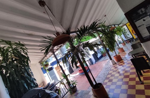 Zona Colonial Hotel | Plaza Mayor: Budget-Friendly with Pet Friendly Amenities