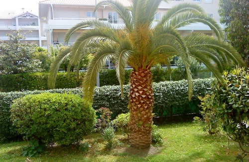 Anglet Apartment | Guest Rated: 9.8! Family-Friendly T2 with Kitchen & WIFI