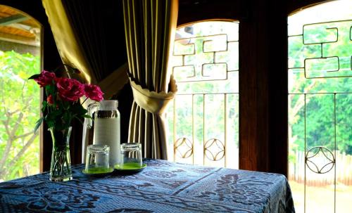 Pleiku House | Top-Rated Plei Homestay & Café: Pet-Friendly Retreat