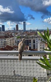 6th Arrondissement Apartment | Experience PLEIN SUD: Panoramic Terrace & Child-Friendly