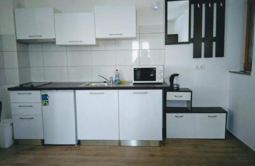 Rudanovac Apartment | Oceanfront Alexandar Holiday Apartments with Pet-Friendly Perks